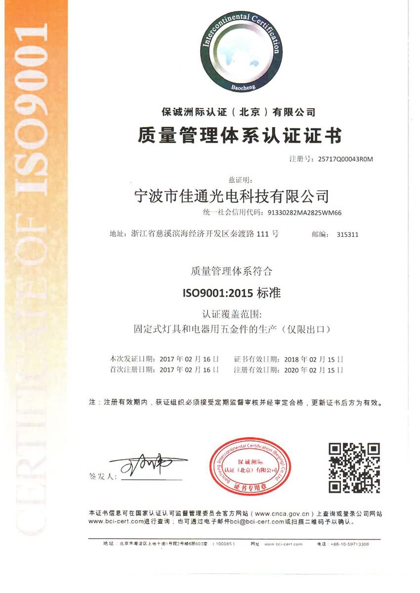 ISO 9001 Chinese
