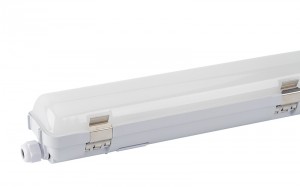 EWS-A Divided Body LED Waterproof Fitting