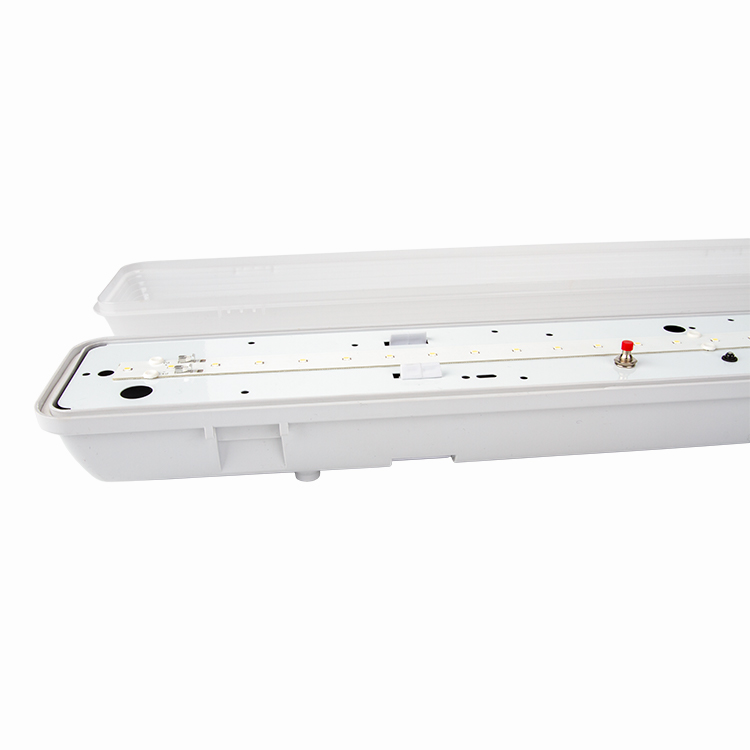 Top Quality Low Power Consumption Lighting Source - Wholesale Price China IP69K Ik10 Parking Lot Batten Light OEM H6-2-1200 – Jiatong