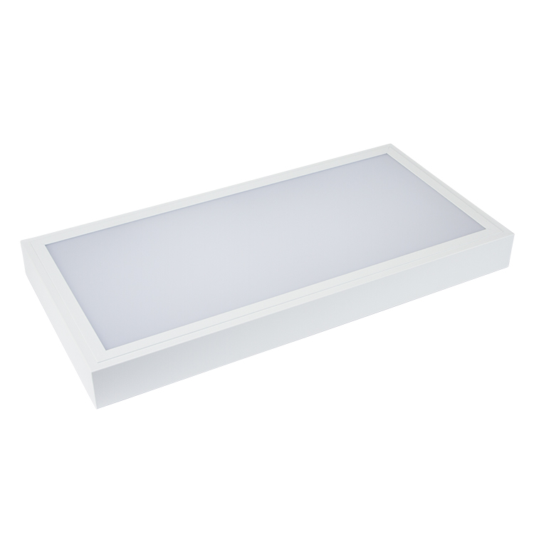 EPSB Surface mount LED Emergency Panel with Back Light
