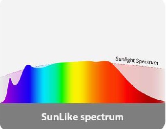 Izibani ze-LED ze-spectrum ezigcwele ukukhanya okuphezulu