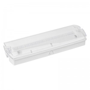 BH-P series IP65 LED Emergency Bulkhead