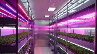 DLC Issued the second edition draft standard of plant lamp v3.0